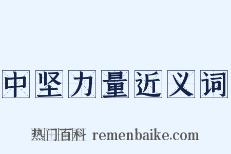 中坚力量近义词是什么意思的图片